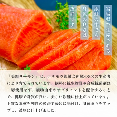 美銀サーモン(生食用)750g 冷凍 切り身 鮭 さけ サケ シャケ 銀鮭 お刺身 カルパッチョ
