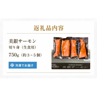美銀サーモン(生食用)750g 冷凍 切り身 鮭 さけ サケ シャケ 銀鮭 お刺身 カルパッチョ
