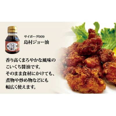 サイボーグ009 調味料 シリーズ 3種 セット (007,008,009) 天ぷらつゆ 醤油 つゆ