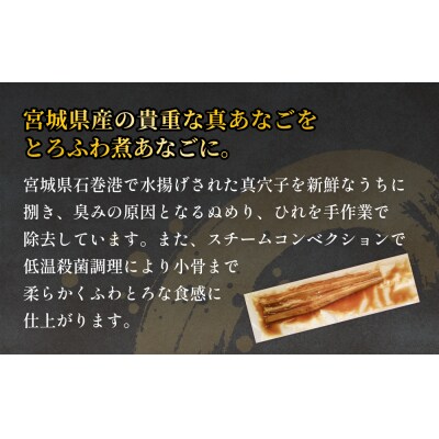 宮城県産 真あなご煮 穴子 あなご 真穴子 柔らかい とろふわ 煮付 魚介 魚介類