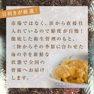 〈先行受付〉生うに <訳あり> 宮城県産 塩水 生うに 160g (80g×2) 冷蔵 塩水うに