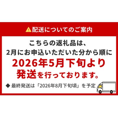 生うに <訳あり> 宮城県産 塩水 生うに 160g (80g×2) 冷蔵 塩水うに
