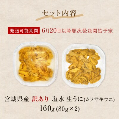 〈先行受付〉生うに <訳あり> 宮城県産 塩水 生うに 160g (80g×2) 冷蔵 塩水うに