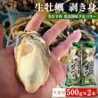 【先行受付】生牡蠣 牡蠣 生食用 かき剥き身 500g 2本入 水無し 生産者直送 かき 生食 魚介
