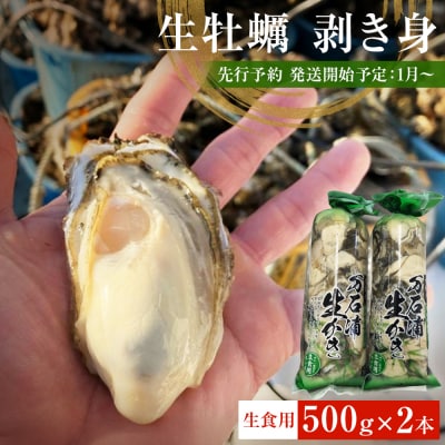 生牡蠣 牡蠣 生食用 かき剥き身 500g 2本入 水無し 生産者直送 かき 生食 魚介