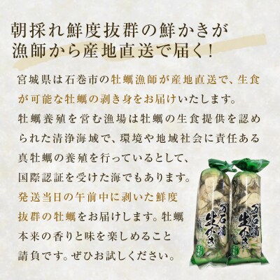 生牡蠣 牡蠣 生食用 かき剥き身 500g 2本入 水無し 生産者直送 かき 生食 魚介