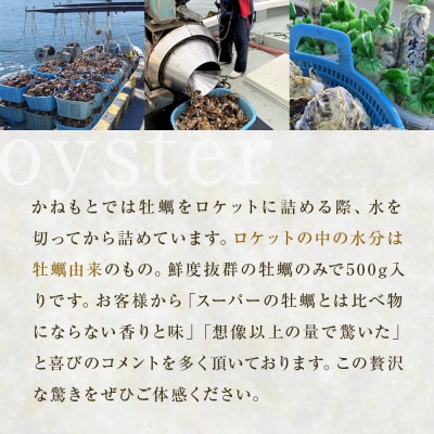<先行予約>生牡蠣 牡蠣 生食用 かき剥き身 500g 2本入 水無し 生産者直送 かき 生食 魚介
