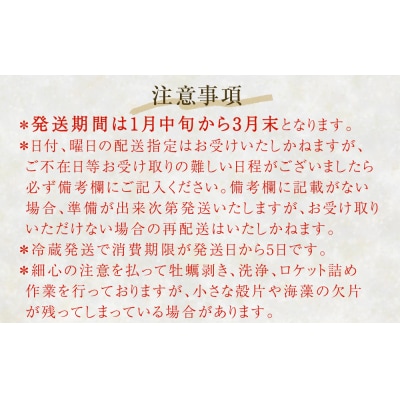 【先行受付】生牡蠣 牡蠣 生食用 かき剥き身 500g 2本入 水無し 生産者直送 かき 生食 魚介