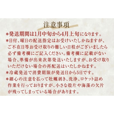<先行予約>生牡蠣 牡蠣 生食用 かき剥き身 500g 2本入 水無し 生産者直送 かき 生食 魚介