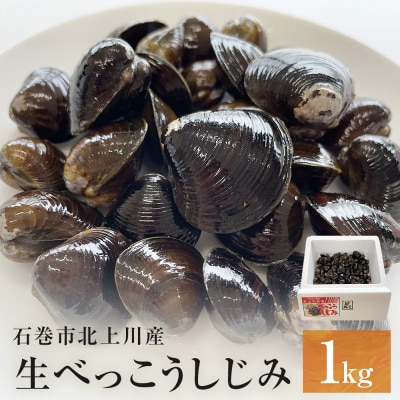 生べっこうしじみ