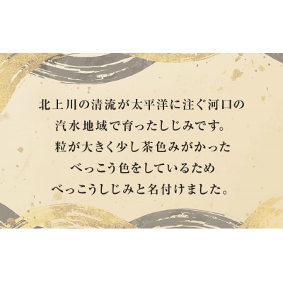 生べっこうしじみ