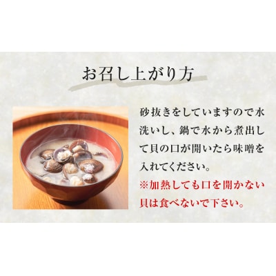 生べっこうしじみ