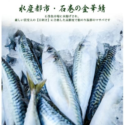 三陸産　金華鯖寿司 冷凍 金華さば サバ 鯖 にぎり 握り寿司 お寿司 寿司 