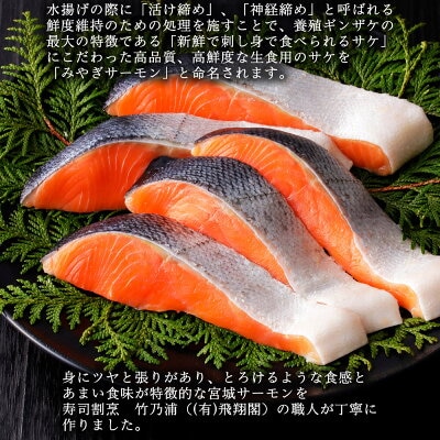 銀鮭焼き(5個セット)冷凍 さけ シャケ サケ 鮭 銀ざけ 銀ザケ 魚 お魚 焼き物 