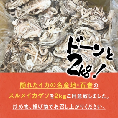 訳あり 石巻産スルメイカゲソ 2kg 5月配送 冷凍 国産 いか 下足 おつまみ ゲソ天 石巻応援