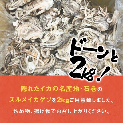 訳あり 石巻産スルメイカゲソ 2kg 6月配送 冷凍 国産 いか 下足 おつまみ ゲソ天 石巻応援