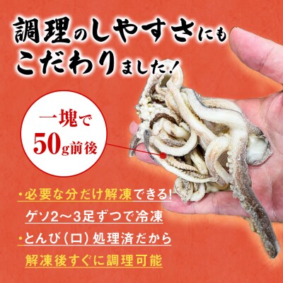 訳あり 石巻産スルメイカゲソ 4kg 8月配送 冷凍 国産 いか 下足 おつまみ ゲソ天 石巻応援