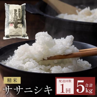 米 令和7年産 ササニシキ 精米 5kg 単品 こめ コメ お米 ご飯 白米 ささにしき