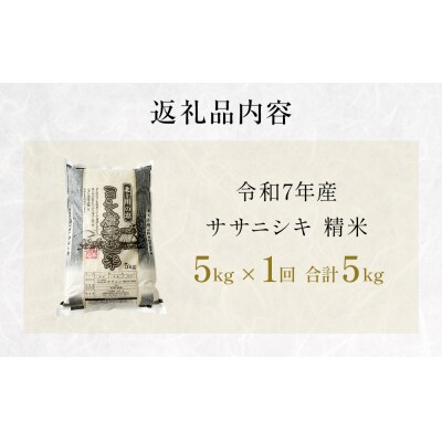 米 令和7年産 ササニシキ 精米 5kg 単品 こめ コメ お米 ご飯 白米 ささにしき