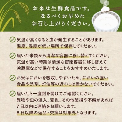 米 令和7年産 ササニシキ 精米 5kg 単品 こめ コメ お米 ご飯 白米 ささにしき