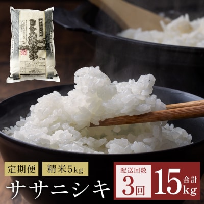 【定期便3回】 米 令和7年産 ササニシキ 精米 15kg (5kg×3) こめ コメ