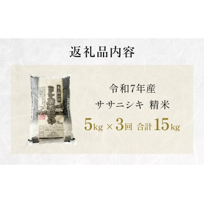 【定期便3回】 米 令和7年産 ササニシキ 精米 15kg (5kg×3) こめ コメ