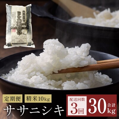 〈先行受付〉【定期便3回】 米 令和7年産 ササニシキ 精米 30kg (10kg×3) こめ コメ