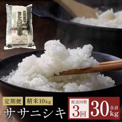 【定期便3回】 米 令和7年産 ササニシキ 精米 30kg (10kg×3) こめ コメ