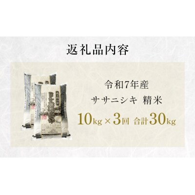 〈先行受付〉【定期便3回】 米 令和7年産 ササニシキ 精米 30kg (10kg×3) こめ コメ