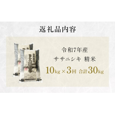 【定期便3回】 米 令和7年産 ササニシキ 精米 30kg (10kg×3) こめ コメ