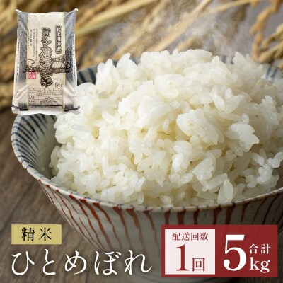 〈先行受付〉米 令和7年産 ひとめぼれ 精米 5kg 単品 こめ コメ お米 ご飯 白米 ヒトメボレ