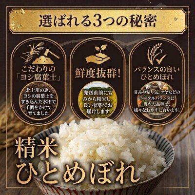 米 令和7年産 ひとめぼれ 精米 5kg 単品 こめ コメ お米 ご飯 白米 ヒトメボレ
