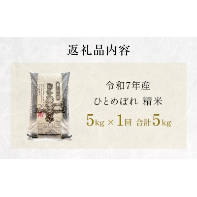 米 令和7年産 ひとめぼれ 精米 5kg 単品 こめ コメ お米 ご飯 白米 ヒトメボレ