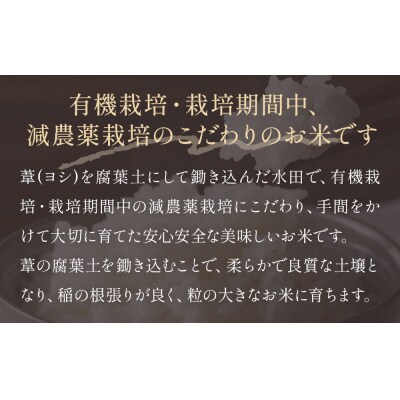 【定期便3回】 米 令和7年産 ひとめぼれ 精米 15kg (5kg×3)  こめ コメ お米