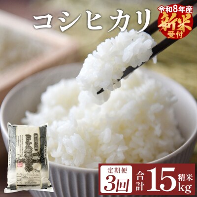 【定期便3回】 令和8年産 コシヒカリ 精米 15kg (5kg×3) 新米 こめ