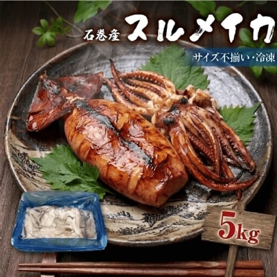 石巻市産スルメイカ5kg 冷凍 煮物 一夜干し いか おかず おつまみ マリネ 