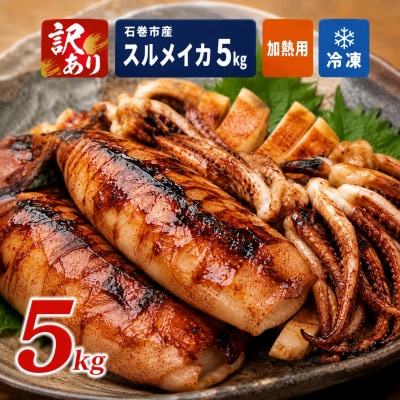 訳あり 石巻産 スルメイカ 5kg 不揃い 加熱用
