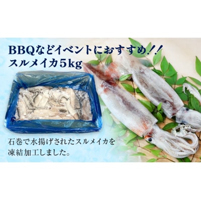 石巻市産スルメイカ5kg 冷凍 煮物 一夜干し いか おかず おつまみ マリネ 