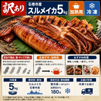 訳あり 石巻産 スルメイカ 5kg 不揃い 加熱用
