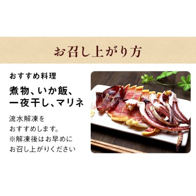 石巻市産スルメイカ5kg 冷凍 煮物 一夜干し いか おかず おつまみ マリネ 