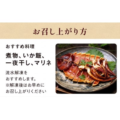 石巻市産スルメイカ5kg 冷凍 煮物 一夜干し いか おかず おつまみ マリネ 
