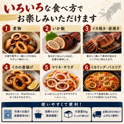 訳あり 石巻産 スルメイカ 5kg 不揃い 加熱用