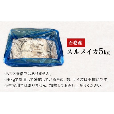 訳あり 石巻産 スルメイカ 5kg 不揃い 加熱用