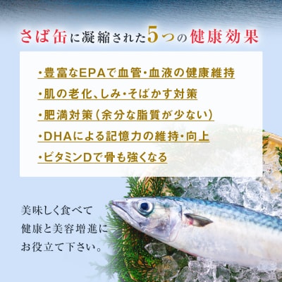 【10月配送】缶詰 さば缶詰 味噌煮 12缶 サバ缶 鯖缶 さば缶 鯖 味噌 国産 常温 長期保管 