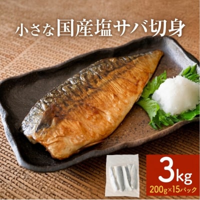 小さな 国産 塩サバ 切身 3kg ( 200g × 15パック ) 冷凍 サバ 鯖 青魚 塩さば 