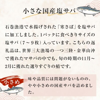 小さな 国産 塩サバ 3kg ( 200g × 15パック ) 冷凍 サバ 鯖 魚 青魚 塩さば 