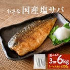 小さな 国産 塩サバ 6kg  ( 200g × 30パック ) 冷凍 サバ 鯖 魚 青魚 塩さば 