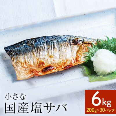 小さな 国産 塩サバ 6kg  ( 200g × 30パック ) 冷凍 サバ 鯖 魚 青魚 塩さば 