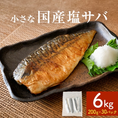 小さな 国産 塩サバ 6kg  ( 200g × 30パック ) 冷凍 サバ 鯖 魚 青魚 塩さば 