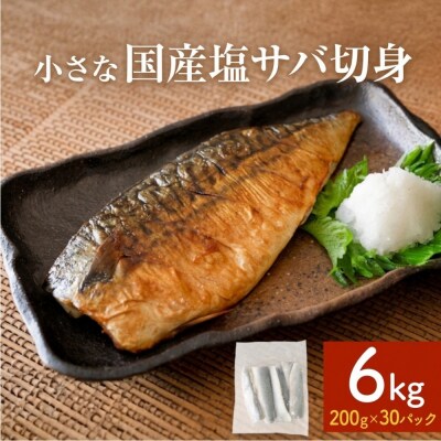 小さな 国産 塩サバ 切身6kg  ( 200g × 30パック ) 冷凍 サバ 鯖 青魚 塩さば 